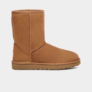 Uggs Classic Short II (Chestnut) Size 8